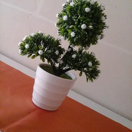 Gozo Apartament